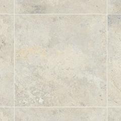 Ảnh Gạch Đồng Tâm 4040GECKO008 2