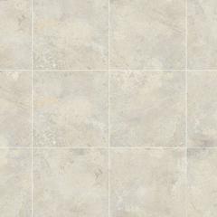 Gạch Đồng Tâm 4040GECKO008