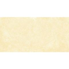 Ảnh Gạch Đồng Tâm 4080GECKO001 5