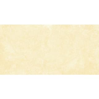 Ảnh Gạch Đồng Tâm 4080GECKO001 5