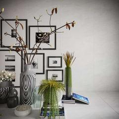 Ảnh Gạch Đồng Tâm 4080GECKO003 2