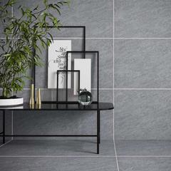 Ảnh Gạch Đồng Tâm 4080GECKO004 3