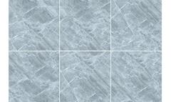 Ảnh Gạch Đồng Tâm 6060TRANGAN001-FP 6