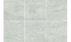 Ảnh Gạch Đồng Tâm 6060TRANGAN003-FP 6