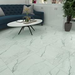 Ảnh Gạch Đồng Tâm 6060TRANGAN005-FP 3