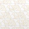 Gạch Đồng Tâm D3060DELUXE005 1