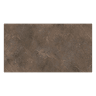 Gạch Viglacera PL36-24 4