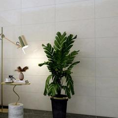 Ảnh Gạch Đồng Tâm 3060CLOUD001 2