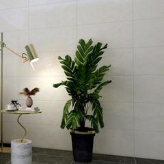 Ảnh Gạch Đồng Tâm 3060CLOUD010 4