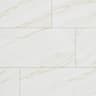 Gạch Đồng Tâm 60120LANGBIANG001-FP-H+ 1
