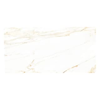Ảnh Gạch Đồng Tâm 60120LANGBIANG001-FP-H+ 4