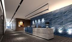 Ảnh Gạch Đồng Tâm 60120LANGBIANG005-FP-H+ 3