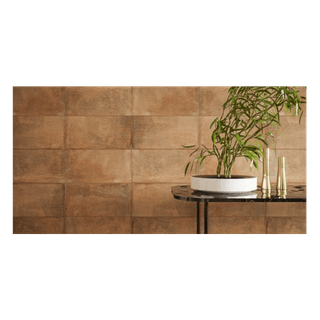 Ảnh Gạch Đồng Tâm 3060HOANGLIENSON001 3