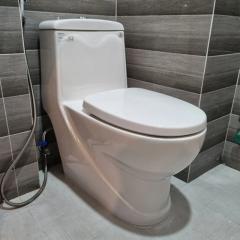 Bồn cầu 1 khối Viglacera V38M