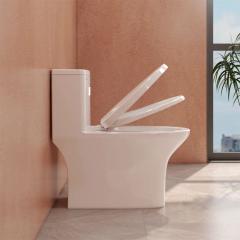 Ảnh Bồn cầu 1 khối Fansipan V700 (V72) 3