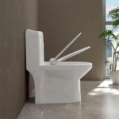 Ảnh Bồn cầu 1 khối Sanfi S301 3