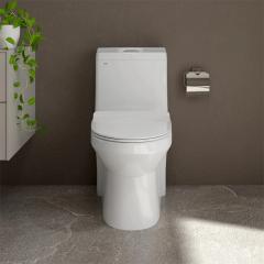 Ảnh Bồn cầu 1 khối Sanfi S301 2