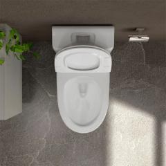 Ảnh Bồn cầu 1 khối Sanfi S301 4