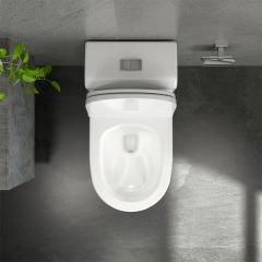 Ảnh Bồn cầu 1 khối Sanfi S304 4