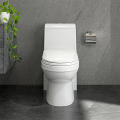 Ảnh Bồn cầu 1 khối Sanfi S304 2