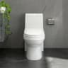 Bồn cầu 1 khối Sanfi S304 3