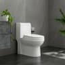 Bồn cầu 1 khối Sanfi S304 2