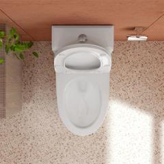 Ảnh Bồn cầu 1 khối Sanfi S306 4