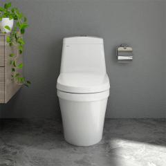 Ảnh Bồn cầu 1 khối Sanfi S308 2