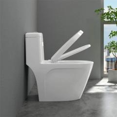 Ảnh Bồn cầu 1 khối Sanfi S308 4