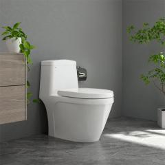 Bồn cầu 1 khối Sanfi S308