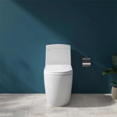 Ảnh Bồn cầu 1 khối Viglacera V199 2