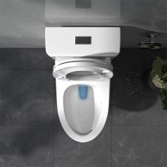 Ảnh Bồn cầu 1 khối Viglacera V64 3