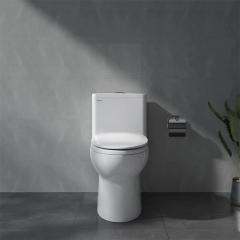 Ảnh Bồn cầu 1 khối Viglacera V64 2