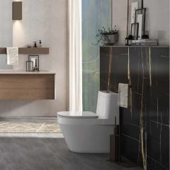 Ảnh Bồn cầu 1 khối Viglacera V68 3