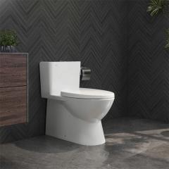 Bồn cầu Viglacera V808