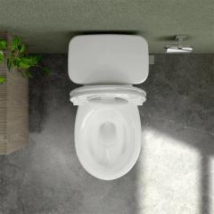 Ảnh Bồn cầu 2 khối Sanfi S201 4