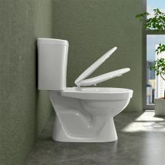 Ảnh Bồn cầu 2 khối Sanfi S201 3