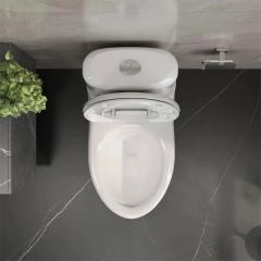 Ảnh Bồn cầu 2 khối Viglacera VI107 4