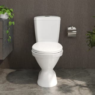 Ảnh Bồn cầu 2 khối Viglacera VI66 4