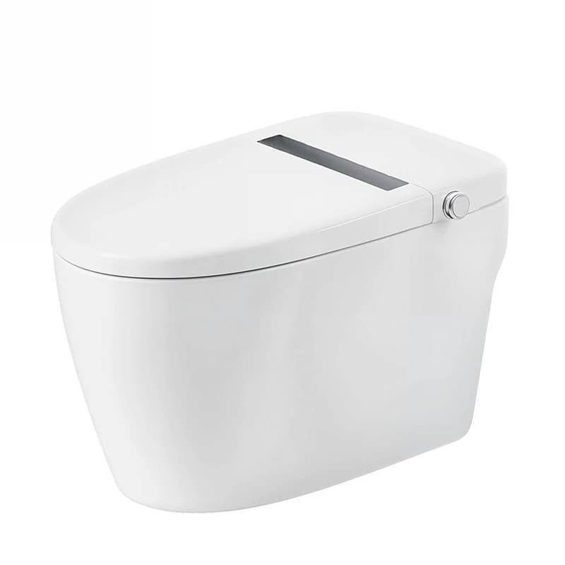 Bồn cầu thông minh Bravat C29001W1-3-VP