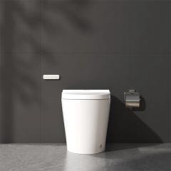 Ảnh Bồn cầu thông minh Viglacera V882F 2