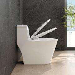 Ảnh Bồn cầu 1 khối Viglacera V823 2