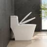 Bồn cầu 1 khối Viglacera V823 3
