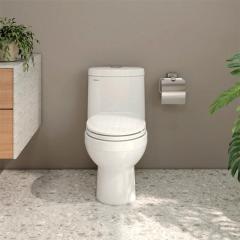 Ảnh Bồn cầu 1 khối Viglacera BTE 3