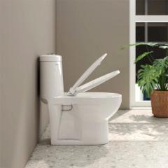 Ảnh Bồn cầu 1 khối Viglacera BTE 4