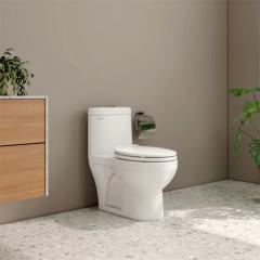 Bồn cầu 1 khối Viglacera BTE