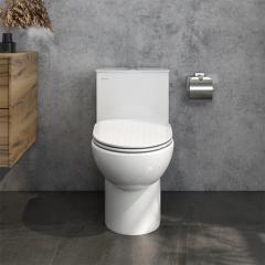 Ảnh Bồn cầu 1 khối Viglacera V819 2