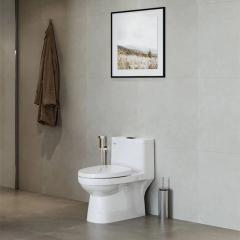 Ảnh Bồn cầu 1 khối Viglacera V819 4