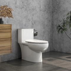 Ảnh Bồn cầu 1 khối Viglacera V819 1