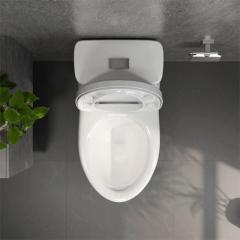 Ảnh Bồn cầu 1 khối Viglacera V825 4